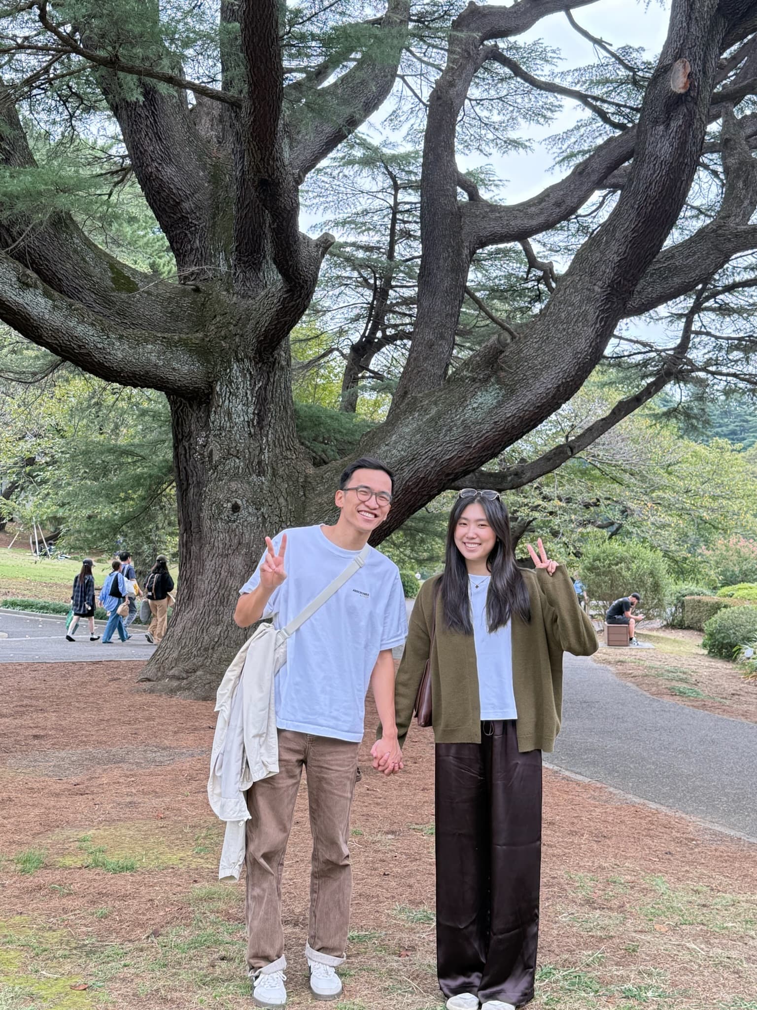 Peace signs under a huge spreading cedar in a park.