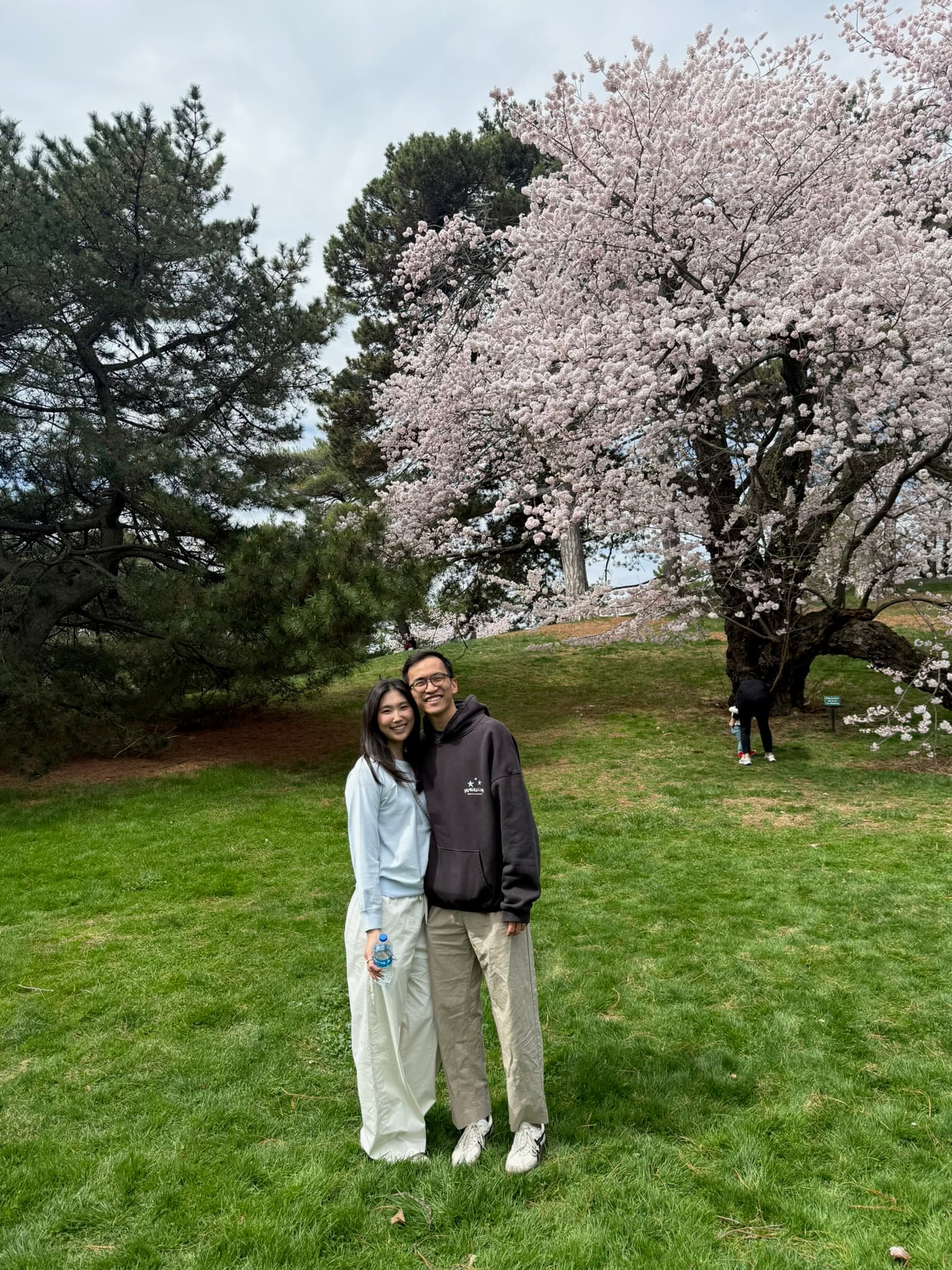 Standing on the grass under a cherry tree in full bloom.